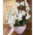 Orchidea asztali dísz